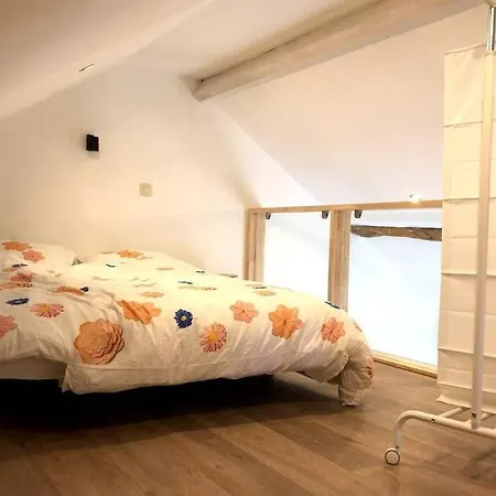Ancienne maison mitoyenne rénovée pour 6 pers Wanze
